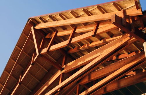 加拿大全票通過立法 木材作為建筑材料的時代來臨